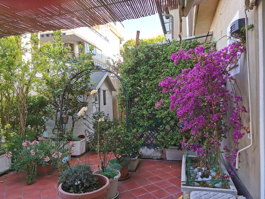 Villa Serena Viareggio Exterior photo